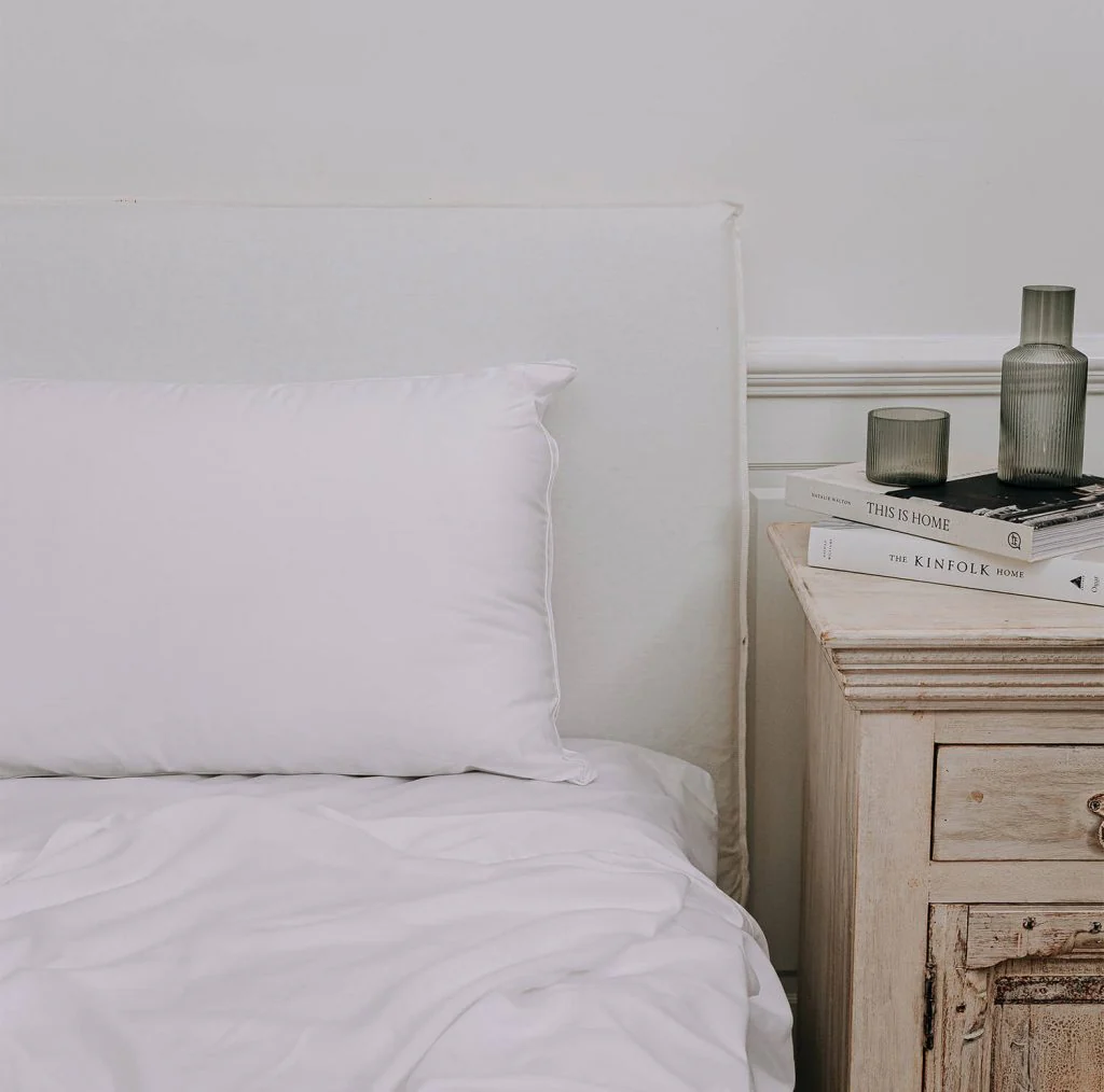 Ecorenew Tencel Pillow - Image 3