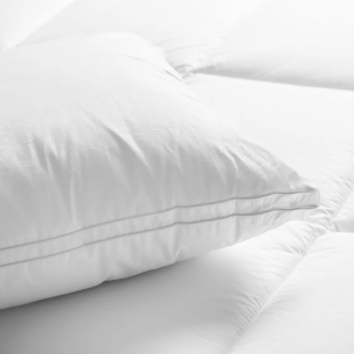 Renee Taylor Australian Made Down Alternate Standard Pillow - Image 2