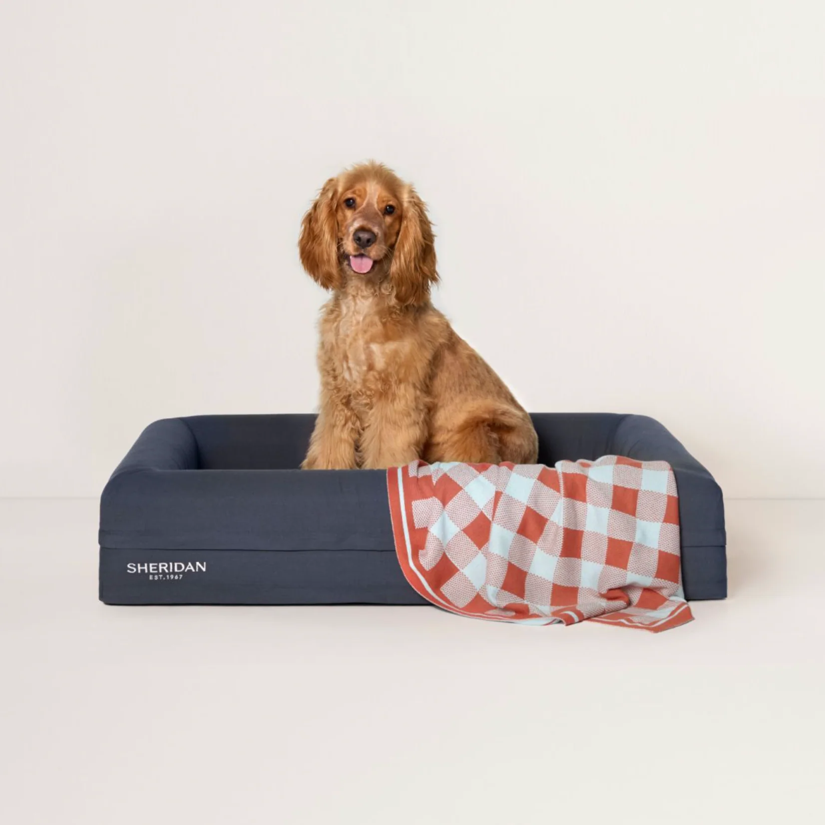 Scout Pet Blanket