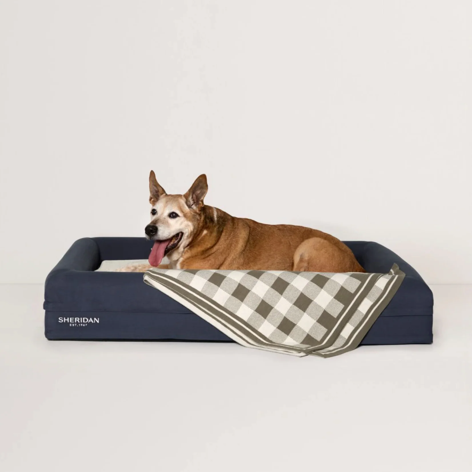 Scout Pet Blanket - Image 2